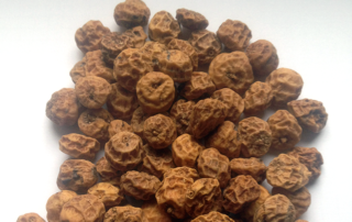 La chufa - die Erdmandel