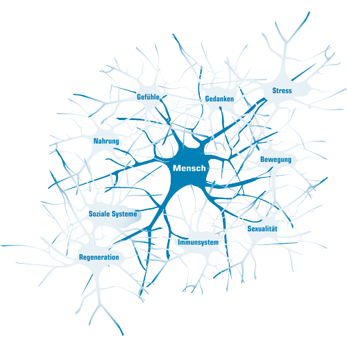 kPNI – klinische Psycho – Neuro – Immunologie