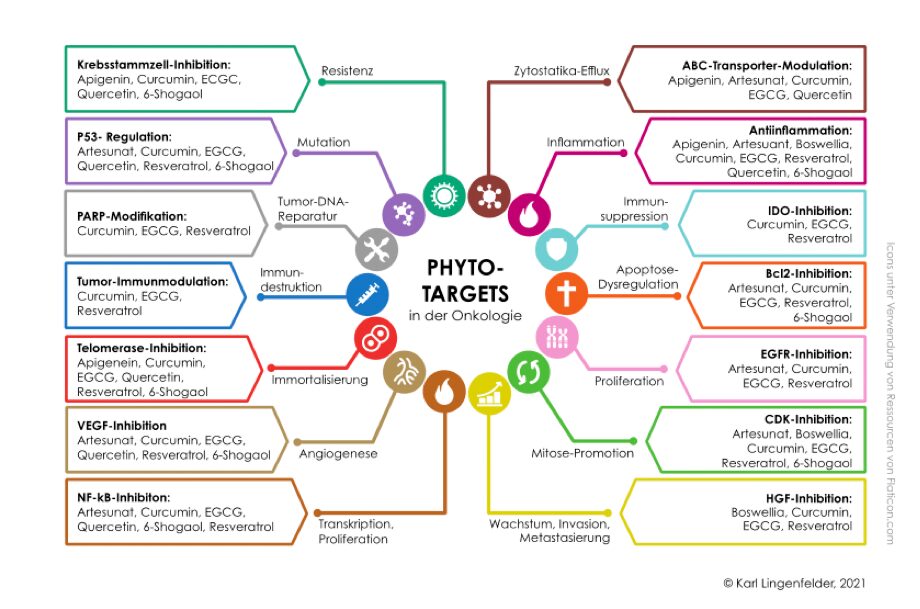 seminar-health-horizon-personalisierte-integrative-onkologie-wiesbaden
